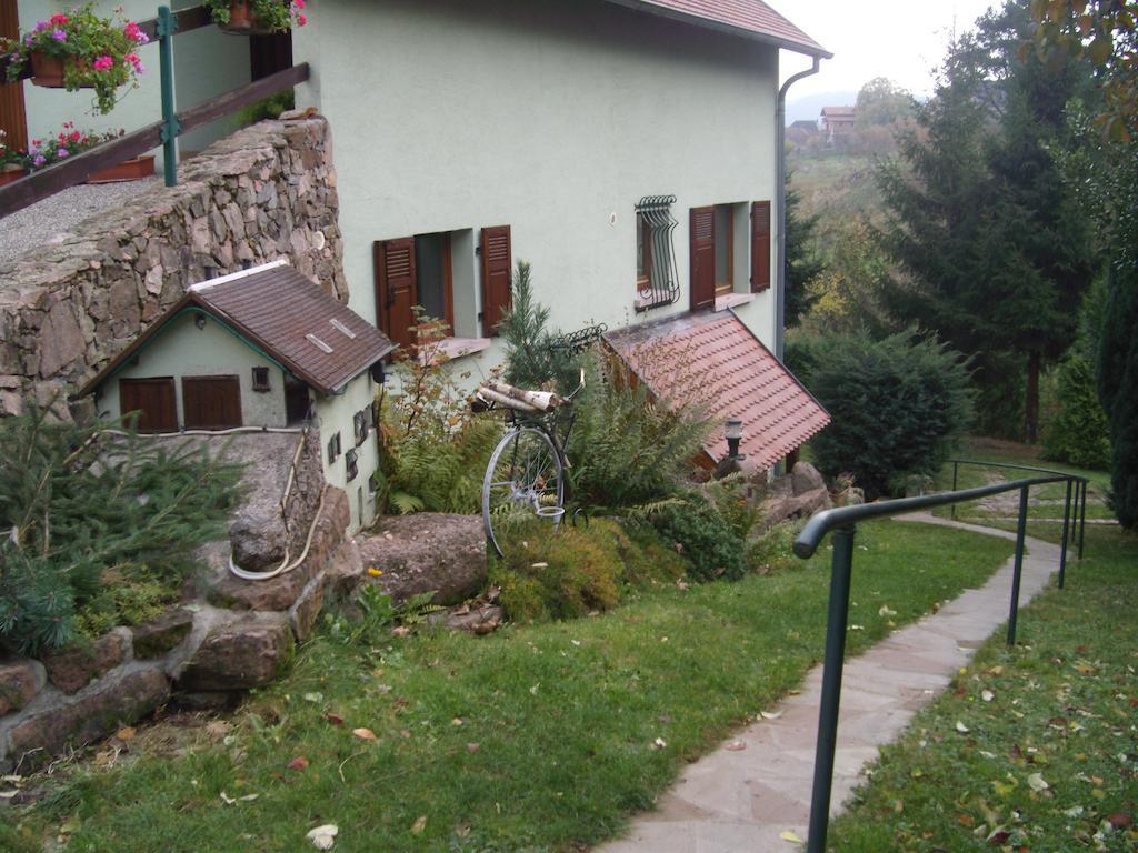 Au Bon Logis Apartment Thannenkirch Exterior photo